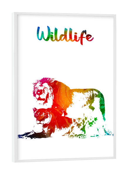 Poster mit weißem Rahmen "Löwenfamilie" artboxONE - Tiere - Tiere,Zoo,Wild,Kinder,Familie,Natur,Wildlife,Rudel,Bunt,Lion