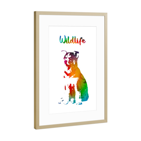 Poster mit Rahmen Gold "Huskywelpe" artboxONE - Tiere - Tiere,Wild,Kinder,Welpe,Husky,Schlittenhund,Familie,Natur,Wildlife,Hund,Haustier,Bunt