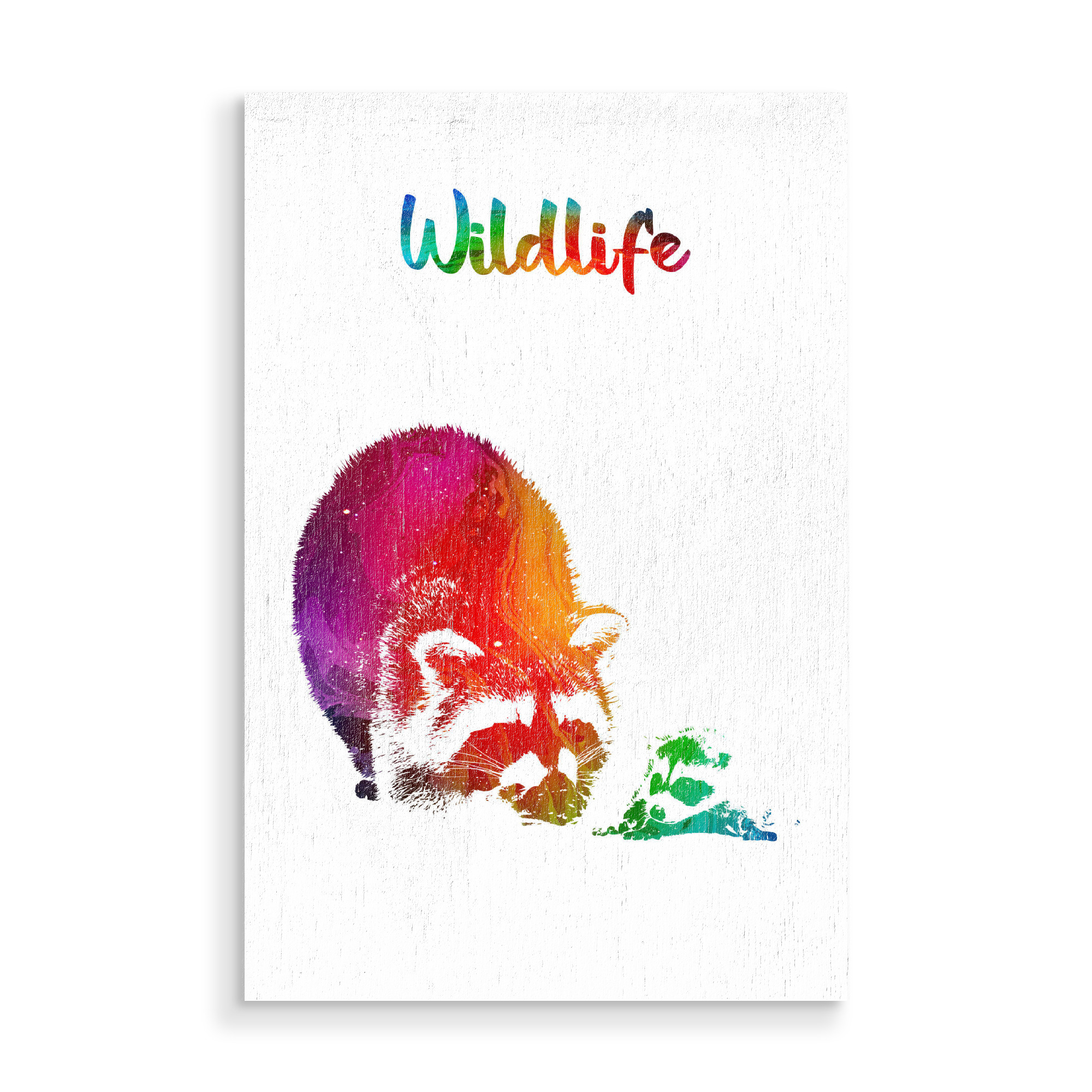 Holzbild "Waschbären" artboxONE - Tiere - Tiere,Zoo,Wild,Wald,Kinder,Familie,Natur,Wildlife,Bunt,Waschbär