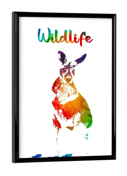 Poster mit schwarzem Rahmen "Junges Känguru" artboxONE - Tiere - Tiere,Australien,Beutel,Wild,Kinder,Familie,Natur,Wildlife,Gehege,Bunt,Känguru