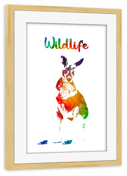 Poster mit Rahmen kiefer "Junges Känguru" artboxONE - Tiere - Tiere,Australien,Beutel,Wild,Kinder,Familie,Natur,Wildlife,Gehege,Bunt,Känguru