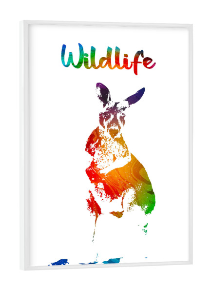 Poster mit weißem Rahmen "Junges Känguru" artboxONE - Tiere - Tiere,Australien,Beutel,Wild,Kinder,Familie,Natur,Wildlife,Gehege,Bunt,Känguru