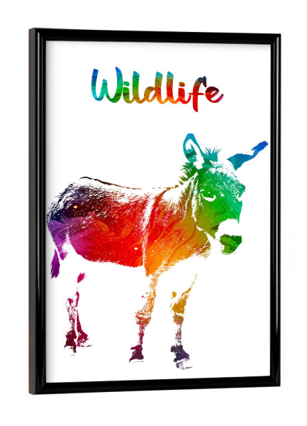 Poster mit schwarzem Rahmen "Junger Esel" artboxONE - Tiere - Tiere,Nutztier,Zoo,Wild,Kinder,Natur,Wildlife,Bunt,Esel