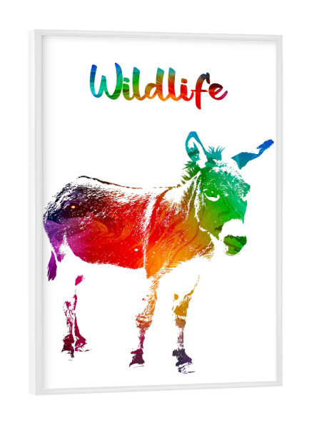 Poster mit weißem Rahmen "Junger Esel" artboxONE - Tiere - Tiere,Nutztier,Zoo,Wild,Kinder,Natur,Wildlife,Bunt,Esel