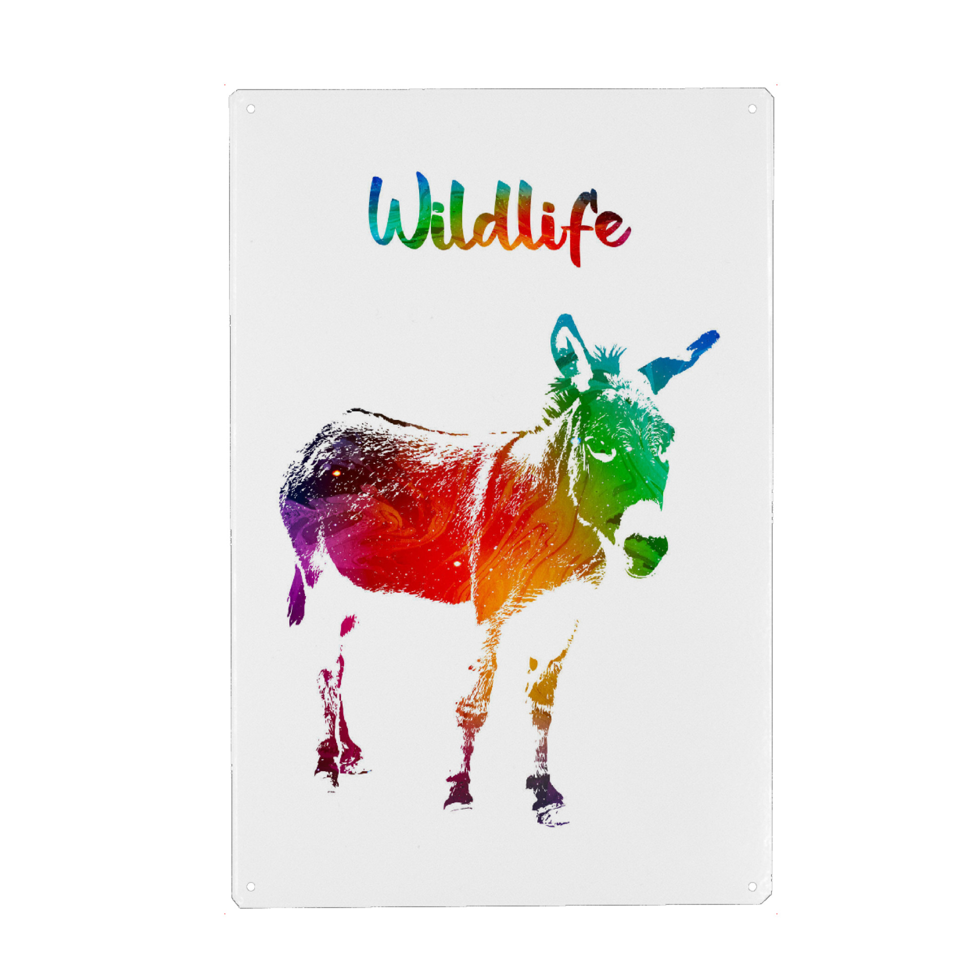 Metall Poster "Junger Esel" artboxONE - Tiere - Tiere,Nutztier,Zoo,Wild,Kinder,Natur,Wildlife,Bunt,Esel - Blechschild