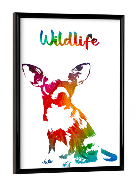 Poster mit schwarzem Rahmen "Chihuahuawelpe" artboxONE - Tiere - Tier,Zoo,Wild,Kinder,Natur,Wildlife,Rasse,Haustier,Bunt,Chihuahua,Welpe