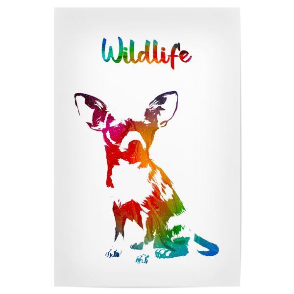 Poster "Chihuahuawelpe" artboxONE - Tiere - Tier,Zoo,Wild,Kinder,Natur,Wildlife,Rasse,Haustier,Bunt,Chihuahua,Welpe