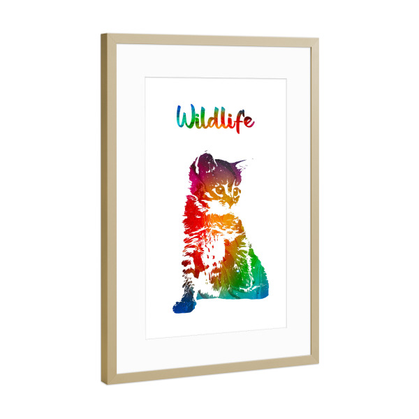 Poster mit Rahmen Gold "Junge Katze" artboxONE - Tiere - Tiere,Stubentiger,Zoo,Wild,Kinder,Natur,Wildlife,Haustier,Katze,Bunt