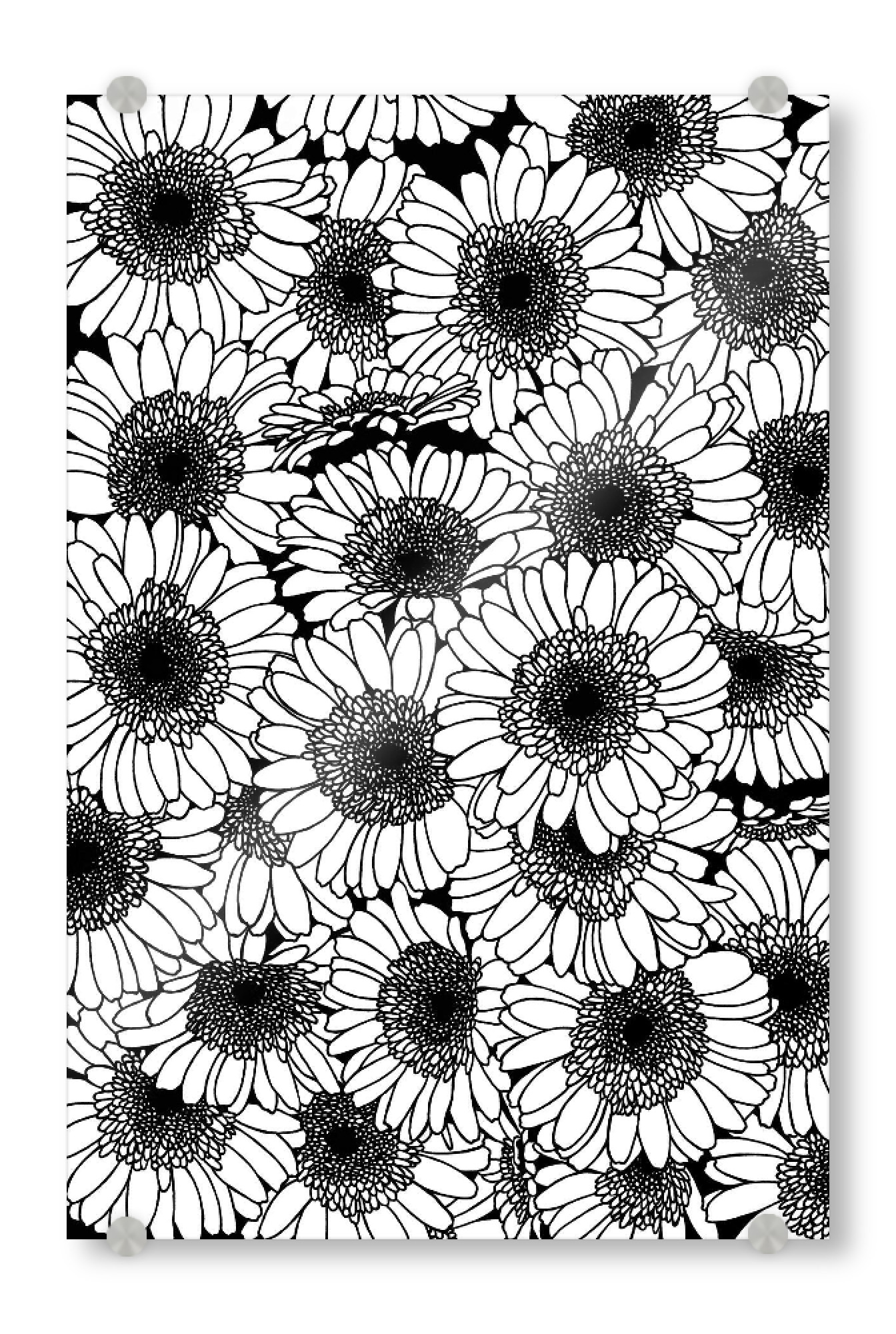 Acrylglasbild "Gerbera INK" artboxONE - Floral,Schwarzweiß