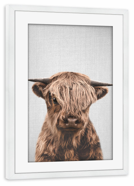 Poster mit Rahmen weiß "Highland Calf - Colorful" artboxONE - Natur,Für Kinder,Tiere