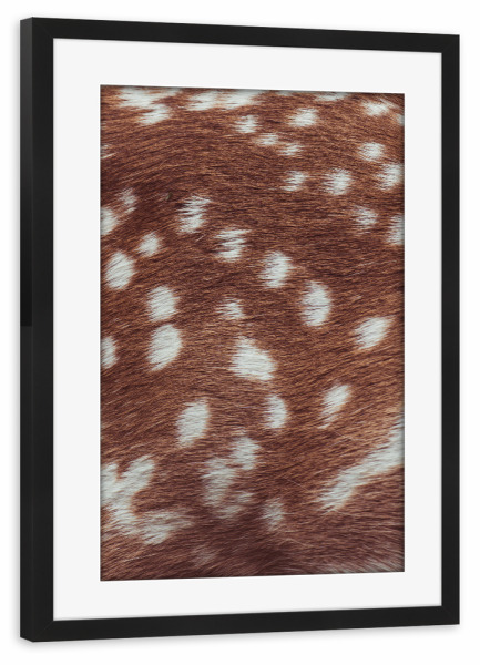 Poster mit Rahmen schwarz "Deer skin" artboxONE - Natur,Tiere