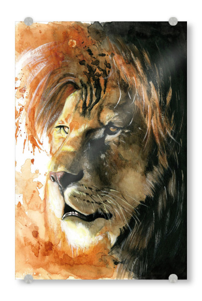 Acrylglasbild "Wildlife Löwe" artboxONE - Tiere