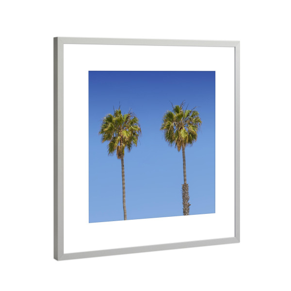 Poster mit Rahmen Silber "Palmenidylle | Panorama" artboxONE - Natur
