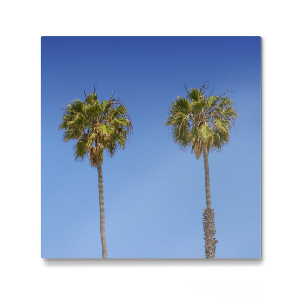 Galerie-Print "Palmenidylle | Panorama" 30x30 cm artboxONE