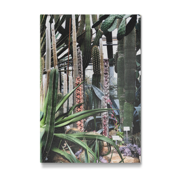 Galerie-Print "Botanischer Garten" 30x20 cm artboxONE