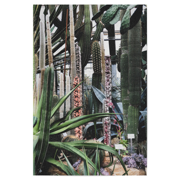 Poster "Botanischer Garten" artboxONE - Natur,Floral - Botanik,Kaktus,Botanisch,Grüner kaktus,Natur,Kakteen