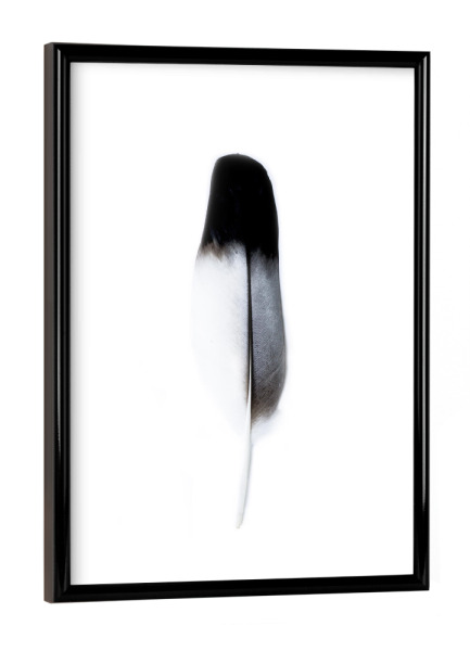 Poster mit schwarzem Rahmen "Bird Feathers Spirit l" artboxONE - Natur,Tiere,Festivals