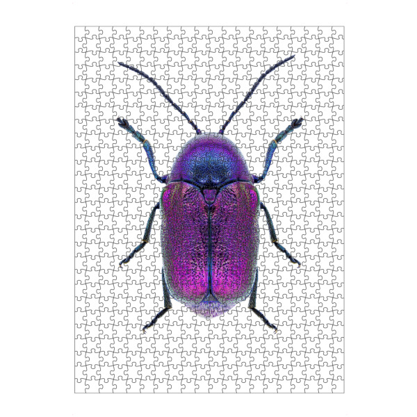 Puzzle Ravensburger "Cryptocephalus sericeus" artboxONE - Natur,Tiere