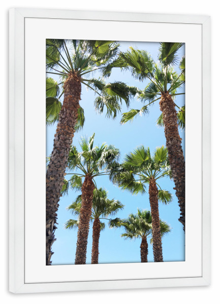 Poster mit Rahmen weiß "Venice Beach Trees" artboxONE - Natur,Reise / Strand und Meer,Städte / Los Angeles