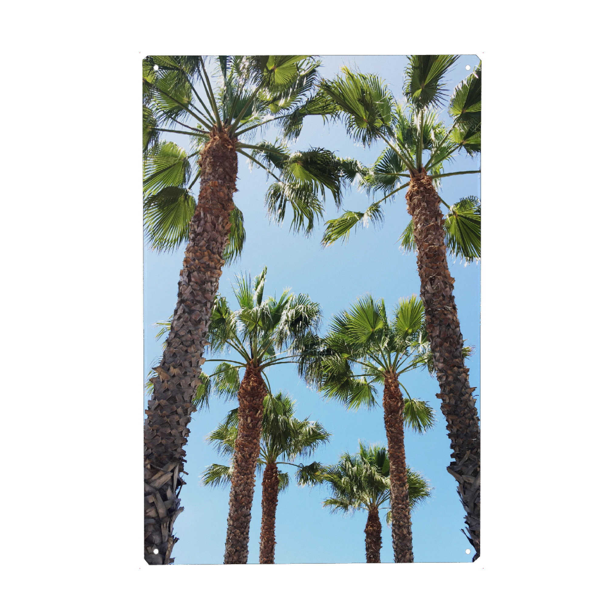Metall Poster "Venice Beach Trees" artboxONE - Natur,Reise / Strand und Meer,Städte / Los Angeles