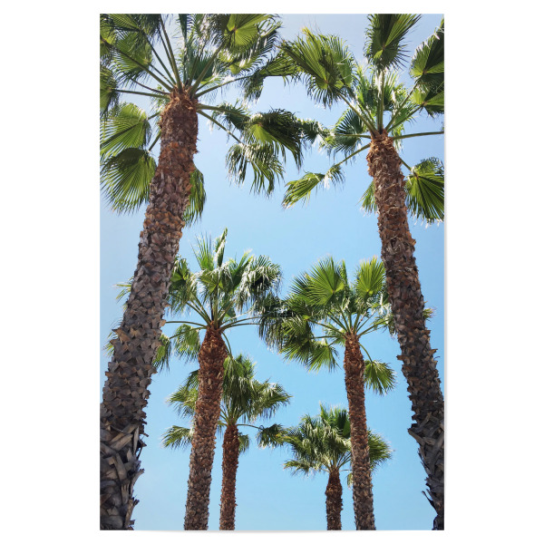 Poster 30x20 cm "Venice Beach Trees" artboxONE - Natur,Reise / Strand und Meer,Städte / Los Angeles
