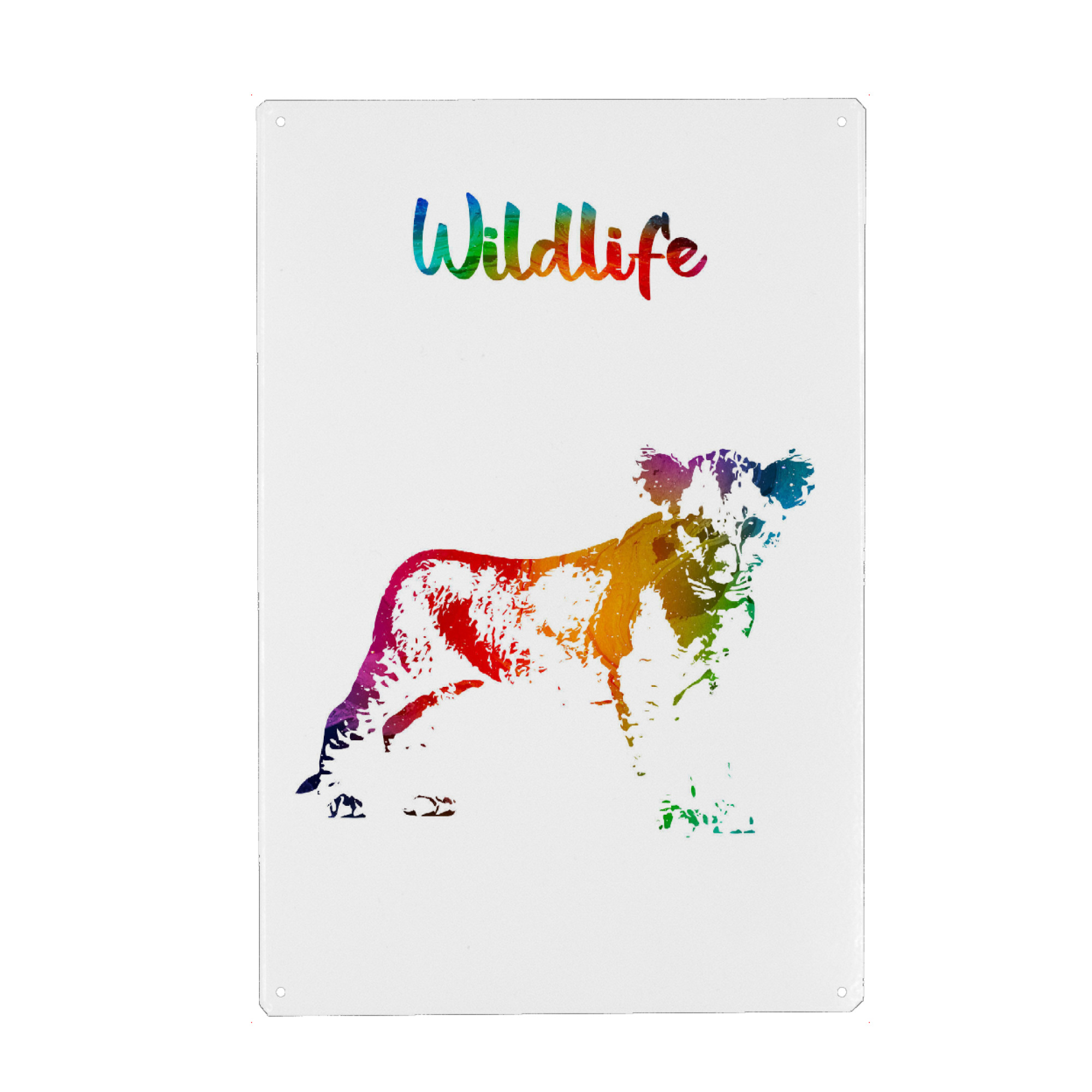 Metall Poster "Kleiner junger Löwe" artboxONE - Tiere - Tiere,Zoo,Wild,Kinder,Familie,Rudel,Natur,Wildlife,Afrika,Bunt,Löwe - Blechschild