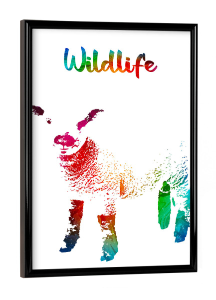 Poster mit schwarzem Rahmen "Kleines Lamm" artboxONE - Tiere