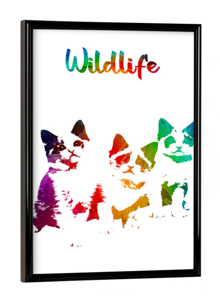 Poster mit schwarzem Rahmen "Katzenjunge" artboxONE - Tiere - Tiere,Wild,Kinder,Familie,Natur,Stubentiger,Wildlife,Haustier,Bunt,Katze