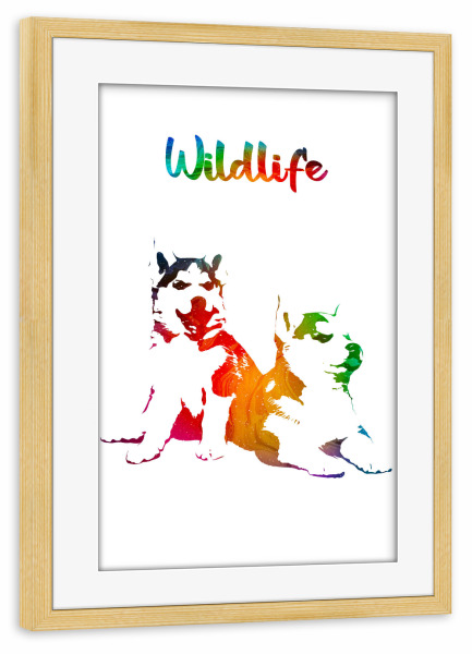 Poster mit Rahmen kiefer "Huskywelpen" artboxONE - Tiere - Tiere,Wild,Kinder,Familie,Natur,Wildlife,Welpe,Haustier,Hund,Schlittenhund,Bunt,Husky
