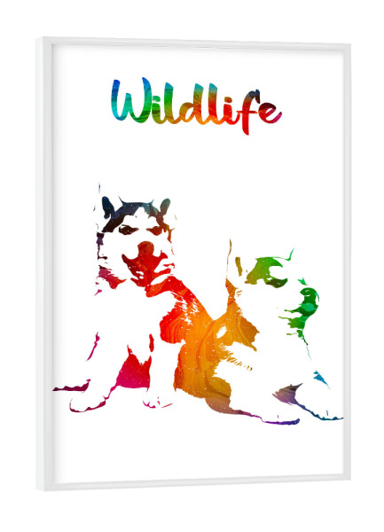 Poster mit weißem Rahmen "Huskywelpen" artboxONE - Tiere - Tiere,Wild,Kinder,Familie,Natur,Wildlife,Welpe,Haustier,Hund,Schlittenhund,Bunt,Husky