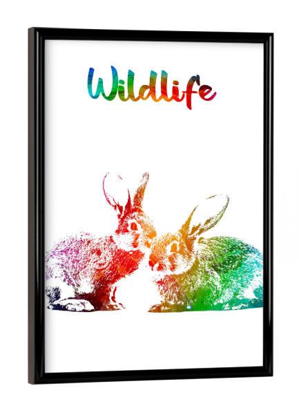 Poster mit schwarzem Rahmen "Hasen" artboxONE - Tiere - Tiere,Zoo,Süß,Wild,Wald,Wiese,Natur,Wildlife,Haustier,Kaninchen,Bunt,Hasen