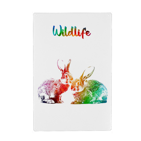 Metall Poster "Hasen" artboxONE - Tiere - Tiere,Zoo,Süß,Wild,Wald,Wiese,Natur,Wildlife,Haustier,Kaninchen,Bunt,Hasen - Blechschild