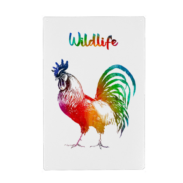 Holzbild "Stolzer Hahn" artboxONE - Tiere - Tiere,Zoo,Bauernhof,Wild,Kinder,Natur,Wildlife,Haustier,Bunt,Hahn