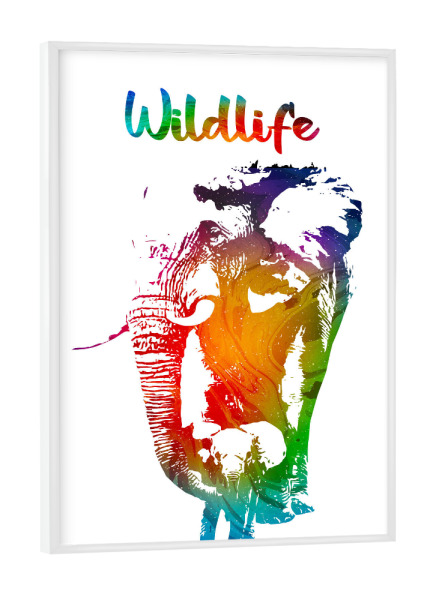 Poster mit weißem Rahmen "Elefant mit Jungtier" artboxONE - Tiere - Tier,Zoo,Wild,Kinder,Natur,Familie,Wildlife,Afrika,Asien,Herde,Elefant,Bunt