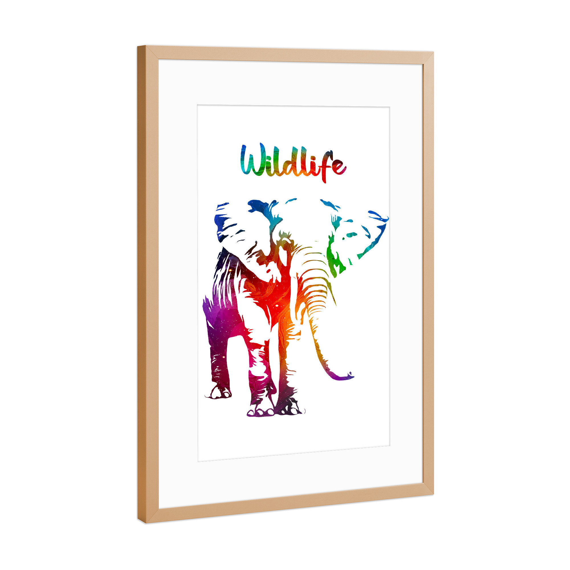Poster mit Rahmen Kupfer "Elefantenbulle" artboxONE - Tiere - Tiere,Zoo,Wild,Kinder,Natur,Wildlife,Afrika,Asien,Elfenbein,Bunt,Elefant