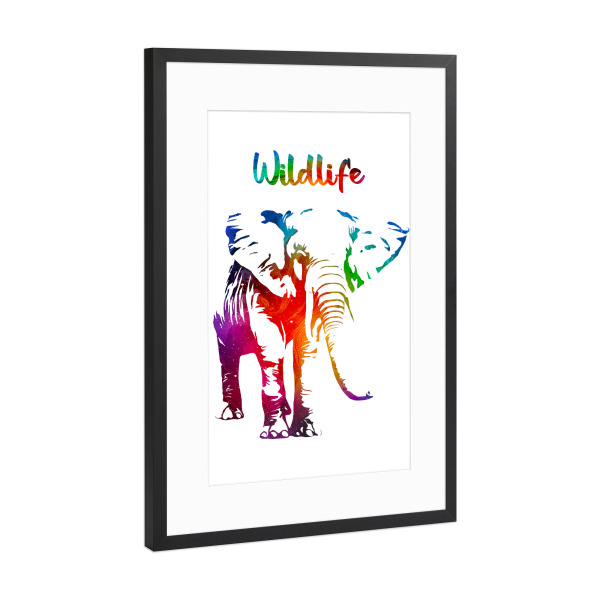 Poster mit Rahmen Schwarz (Metallic) "Elefantenbulle" artboxONE - Tiere - Tiere,Zoo,Wild,Kinder,Natur,Wildlife,Afrika,Asien,Elfenbein,Bunt,Elefant