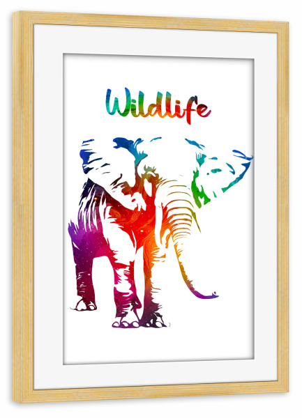 Poster mit Rahmen kiefer "Elefantenbulle" artboxONE - Tiere - Tiere,Zoo,Wild,Kinder,Natur,Wildlife,Afrika,Asien,Elfenbein,Bunt,Elefant