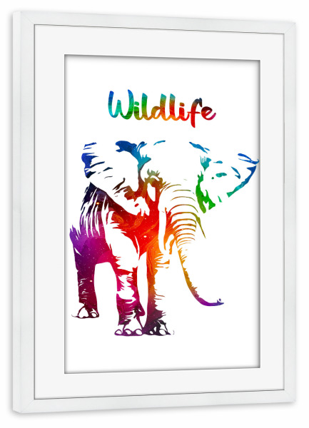 Poster mit Rahmen weiß "Elefantenbulle" artboxONE - Tiere - Tiere,Zoo,Wild,Kinder,Natur,Wildlife,Afrika,Asien,Elfenbein,Bunt,Elefant