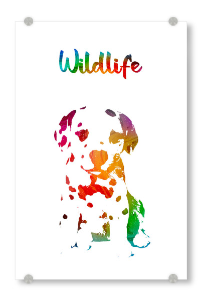 Acrylglasbild "Dalmatinerwelpe" artboxONE - Tiere - Tiere,Zoo,Wild,Kinder,Natur,Wildlife,Welpe,Haustier,Pfote,Bunt