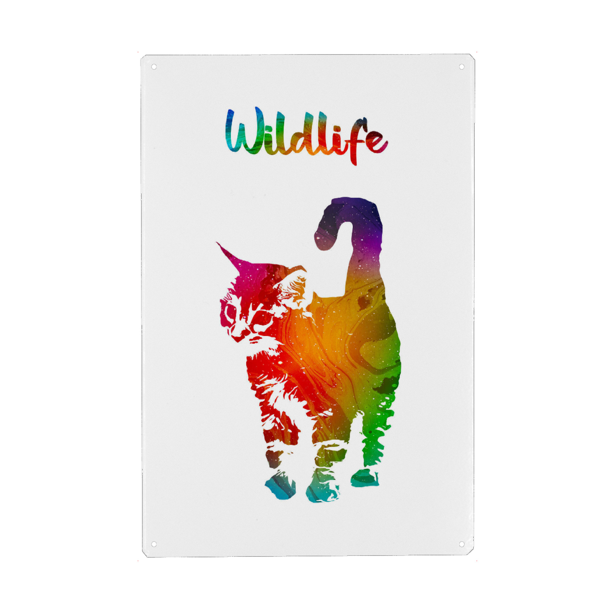 Metall Poster "Kätzchen" artboxONE - Tiere - Tiere,Stubentiger,Wild,Kinder,Natur,Wildlife,Haustier,Katze,Bunt - Blechschild