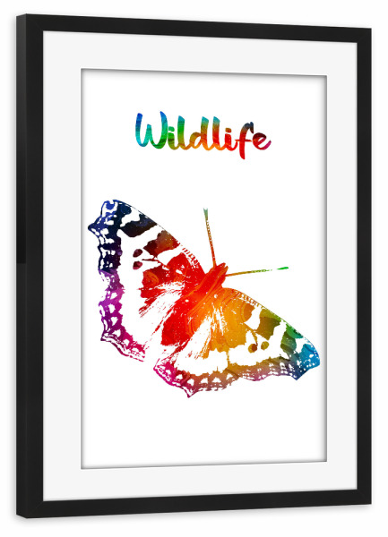 Poster mit Rahmen schwarz "Schmetterling - Butterfly" artboxONE - Tiere