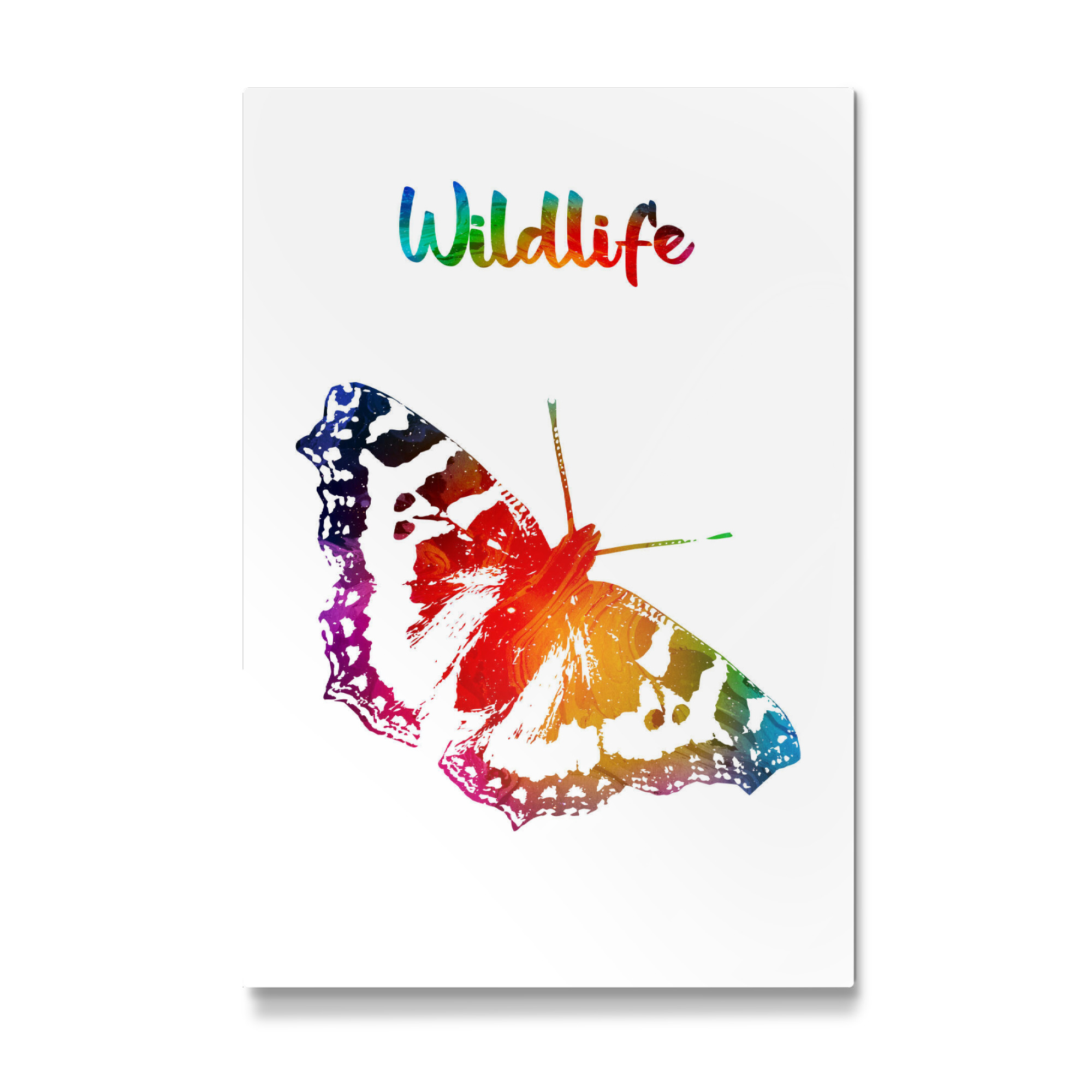 Galerie-Print "Schmetterling - Butterfly" 75x50 cm artboxONE