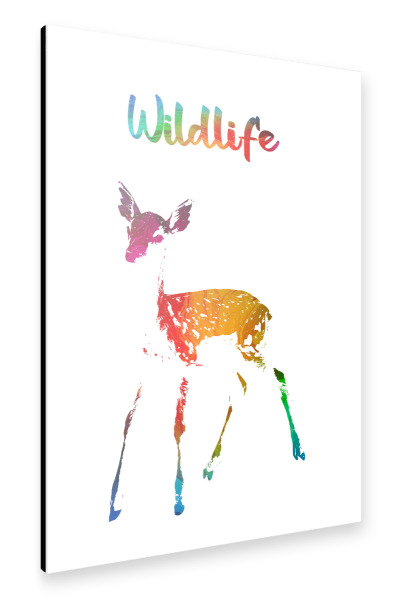 Alu-Dibond "Rehkitz Bambi" 30x20 cm artboxONE