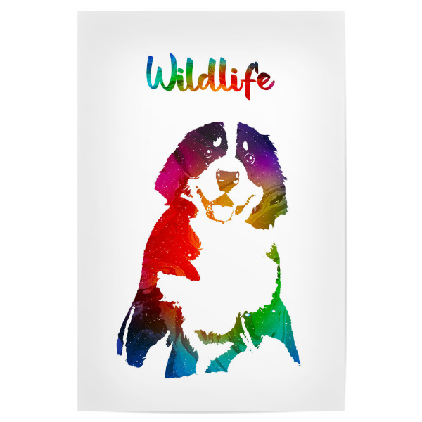 Poster "Hund - Welpe" artboxONE - Tiere - Tiere,Zoo,Wild,Wald,Kinder,Welpe,Natur,Wildlife,Bunt,Hund
