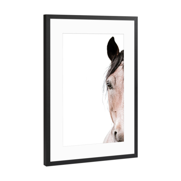 Poster mit Rahmen Schwarz (Metallic) "Red Horse Head" artboxONE - Natur,Tiere