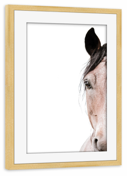 Poster mit Rahmen kiefer "Red Horse Head" artboxONE - Natur,Tiere