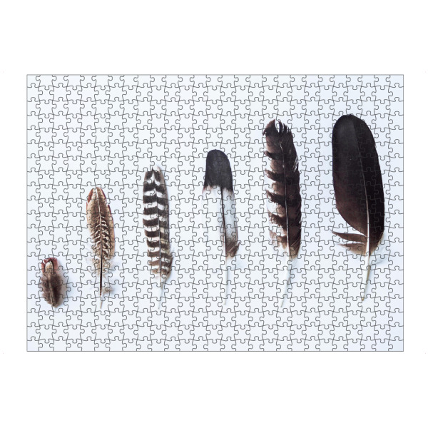 Puzzle Ravensburger "Six Bird Feathers" artboxONE - Natur,Tiere