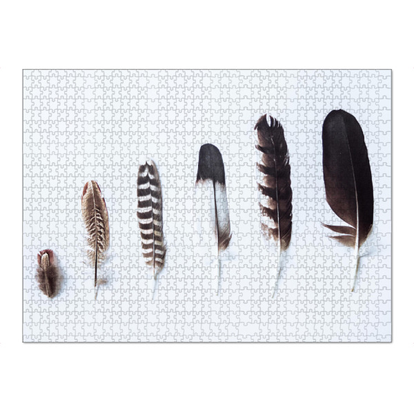 Puzzle Ravensburger "Six Bird Feathers" artboxONE - Natur,Tiere