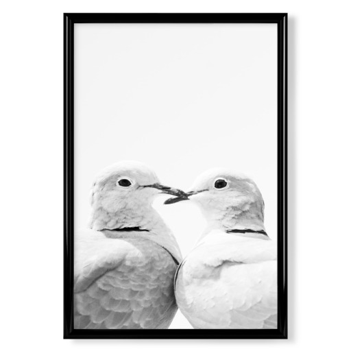 Love Birds