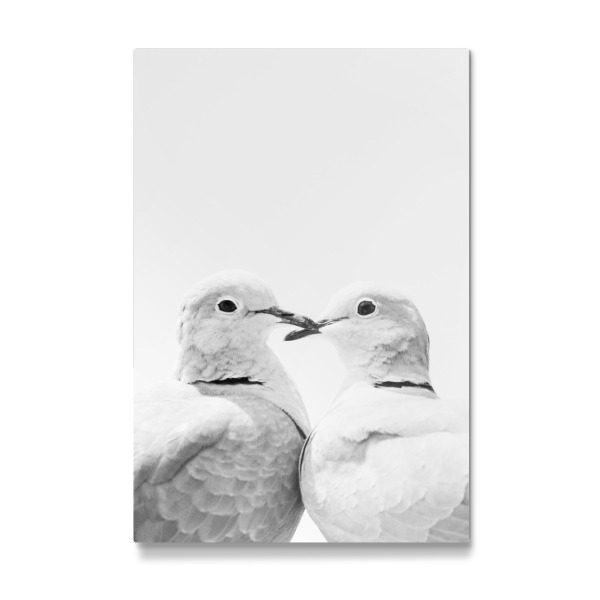 Galerie-Print "Love Birds" 30x20 cm artboxONE